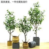 uploads/erp/collection/images/Home Garden/dgjiawang/XU0612934/img_b/XU0612934_img_b_1
